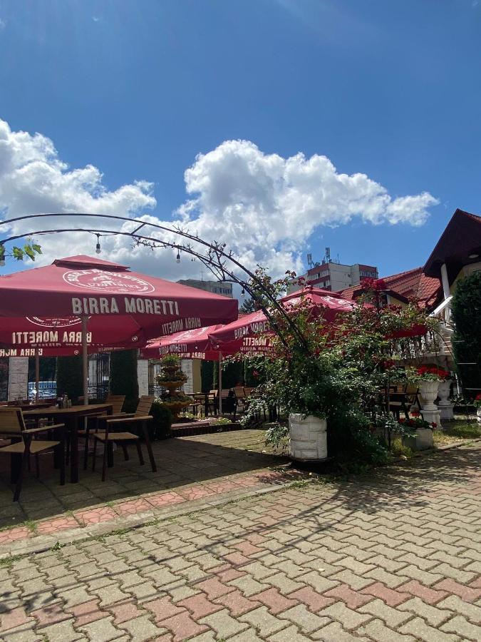 Pensiunea Viena Târgu-Mureş Buitenkant foto